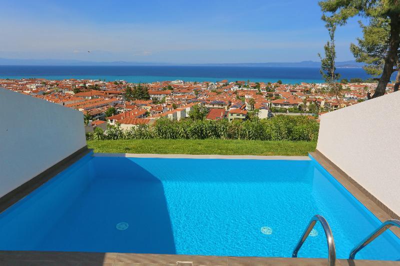 Alia Palace Hotel - Adults Only 16+ 哈爾基季基州 外观 照片 View of Nea Vrasna